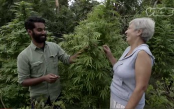 Smoking weed with the President of Uruguay